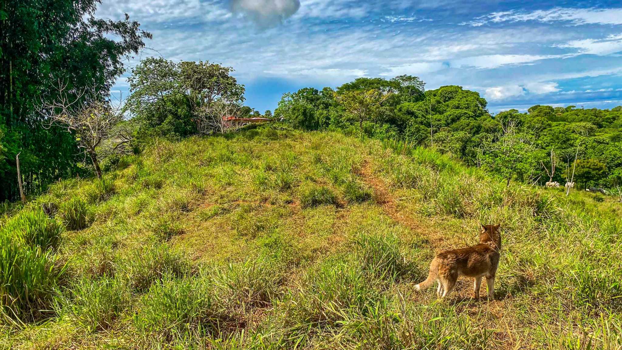 Huge Jungle View Building Lot with River Frontage and Legal Water in Ojochal Costa Rica