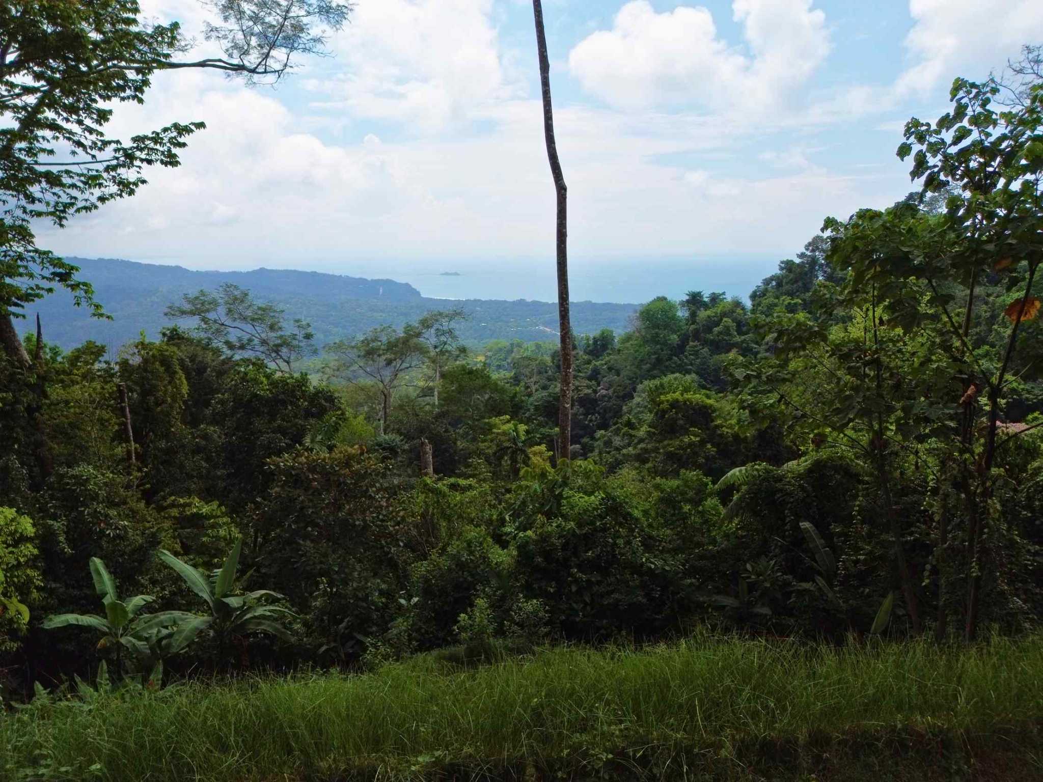 76774-2 Iconic Ocean View Over-One-Acre Building Lot with Legal Water in Uvita Costa Rica