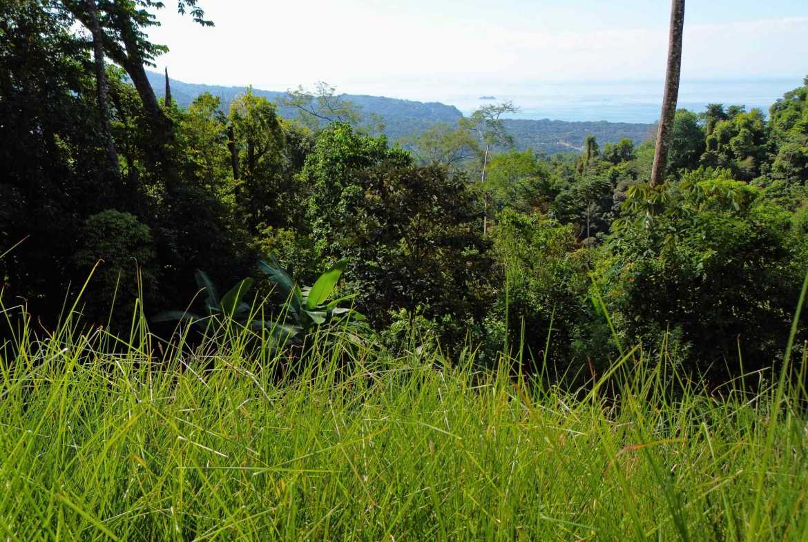 Iconic Ocean View Over-One-Acre Building Lot with Legal Water, photo 4 of 14