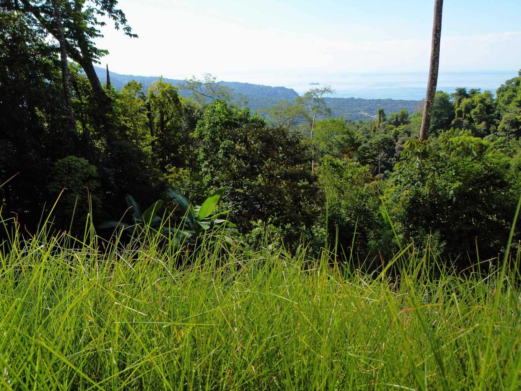 76774-4 Iconic Ocean View Over-One-Acre Building Lot with Legal Water in Uvita Costa Rica