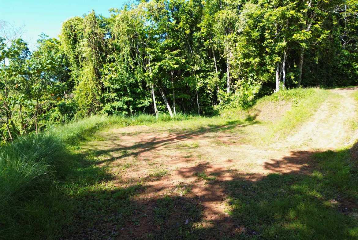 Iconic Ocean View Over-One-Acre Building Lot with Legal Water, photo 8 of 14