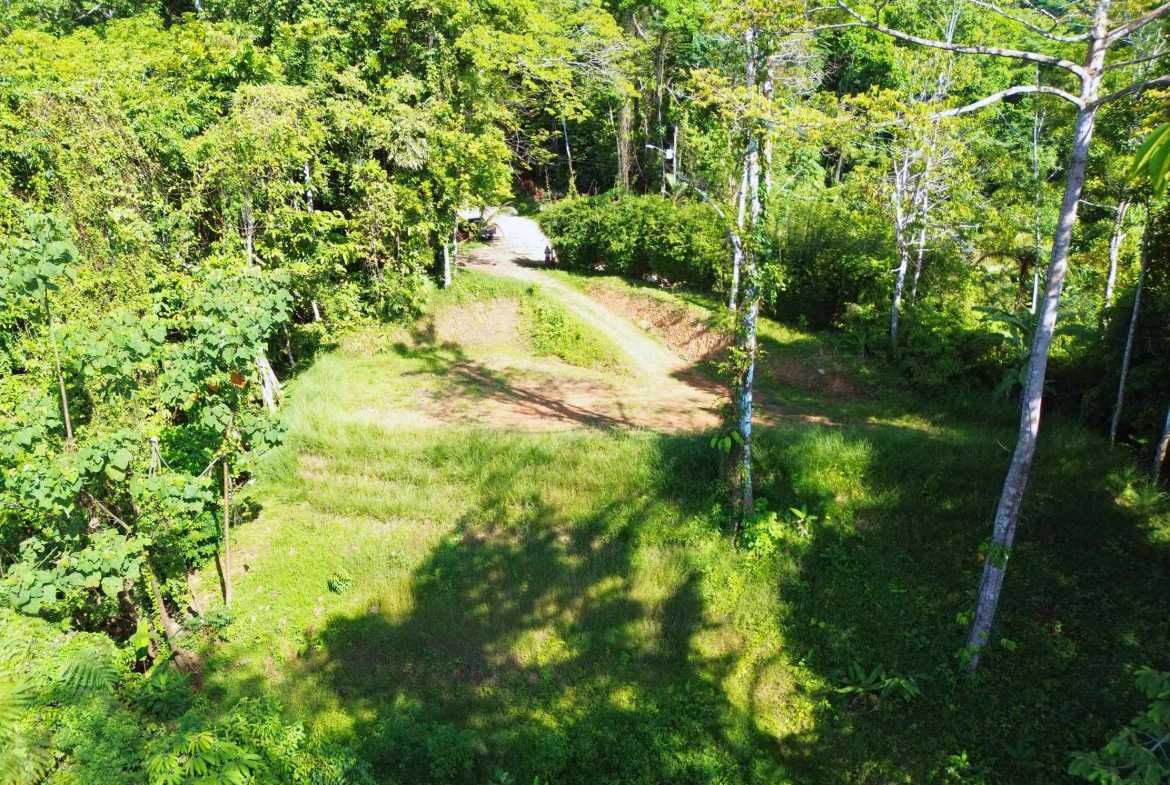Iconic Ocean View Over-One-Acre Building Lot with Legal Water, photo 9 of 14