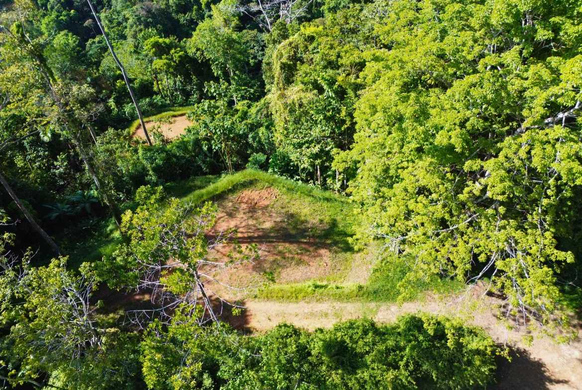 Iconic Ocean View Over-One-Acre Building Lot with Legal Water, photo 10 of 14