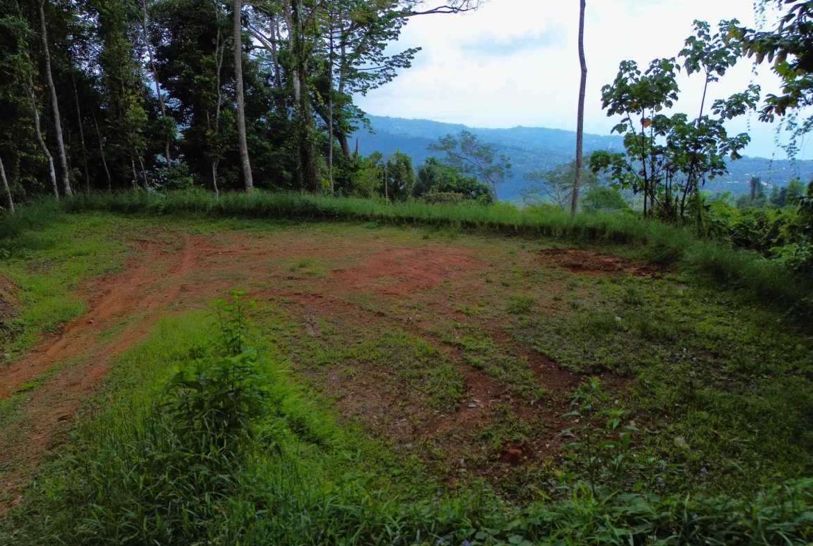 Iconic Ocean View Over-One-Acre Building Lot with Legal Water, photo 11 of 14