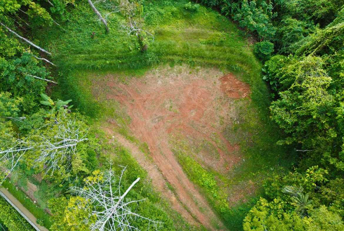 Iconic Ocean View Over-One-Acre Building Lot with Legal Water, photo 13 of 14