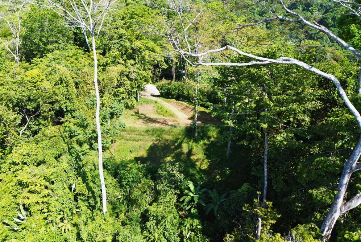 Iconic Ocean View Over-One-Acre Building Lot with Legal Water, photo 14 of 14