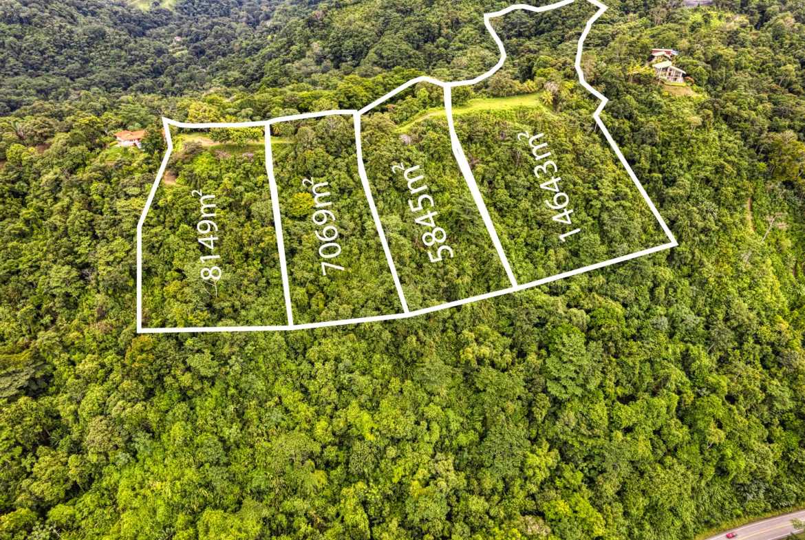 Ocean & Mountain View Building Lot with Legal Water, photo 4 of 24