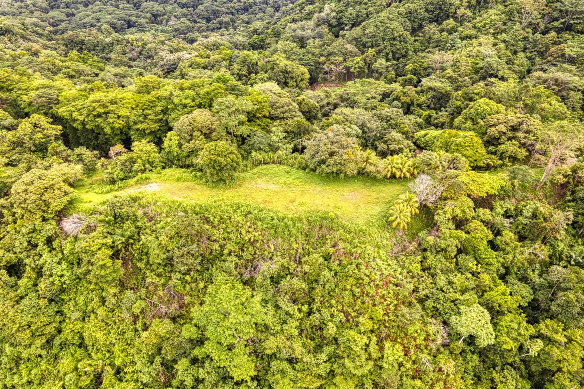 76778-6 Stunning Ocean & Mountain View Building Lot with Legal Water in Ojochal Costa Rica