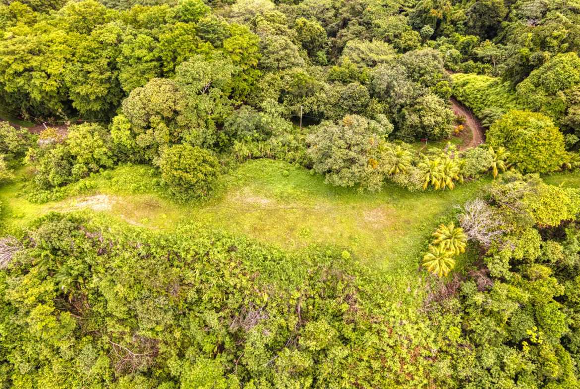 Ocean & Mountain View Building Lot with Legal Water, photo 8 of 24
