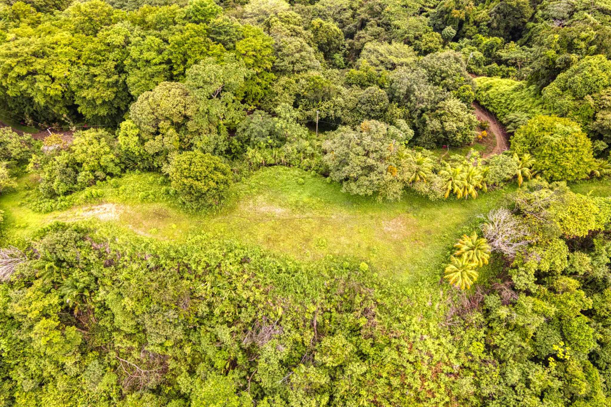76778-7 Stunning Ocean & Mountain View Building Lot with Legal Water in Ojochal Costa Rica