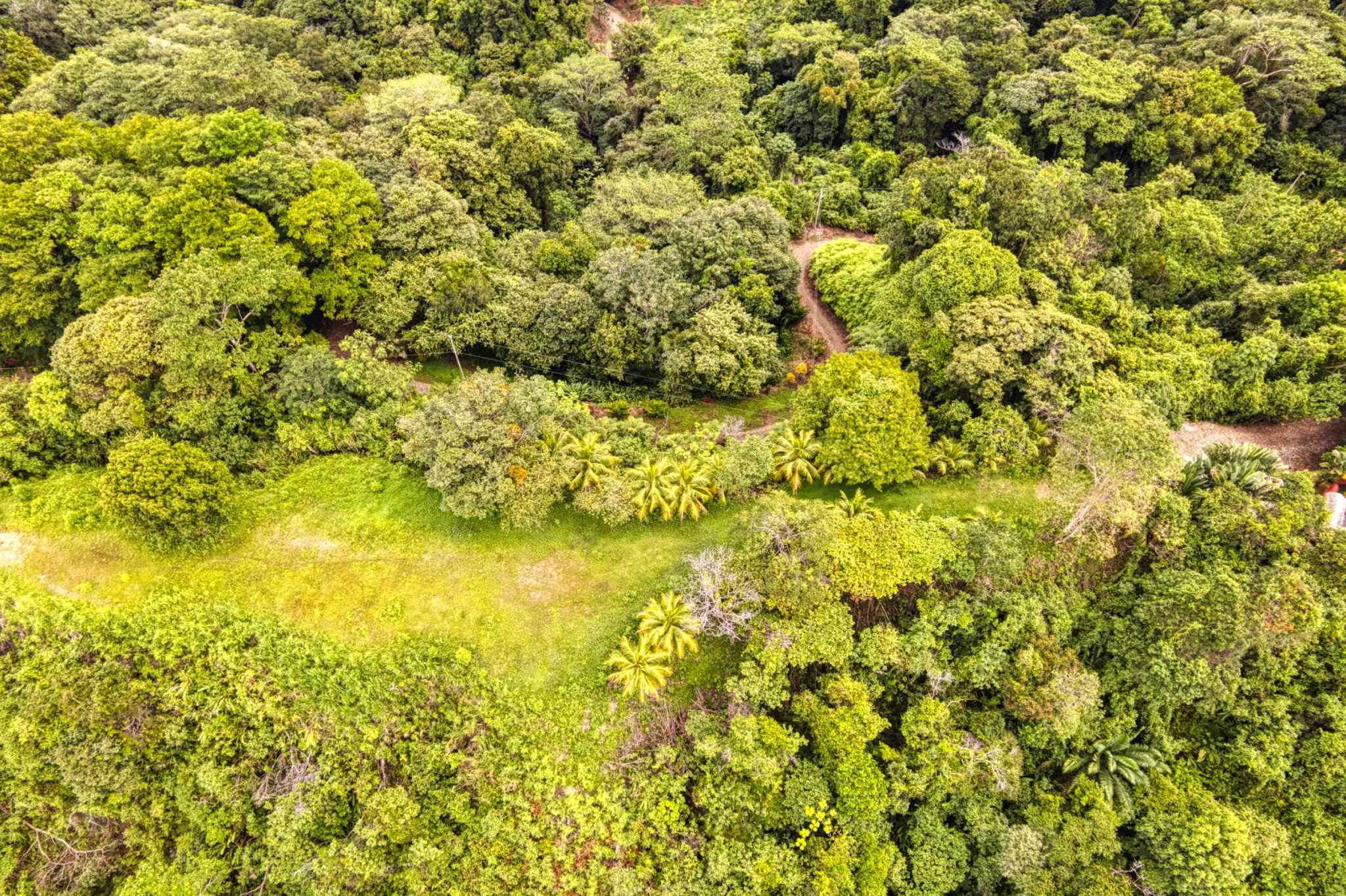 76778-8 Stunning Ocean & Mountain View Building Lot with Legal Water in Ojochal Costa Rica