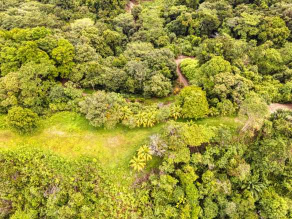 Stunning Ocean & Mountain View Building Lot with Legal Water in Ojochal Costa Rica