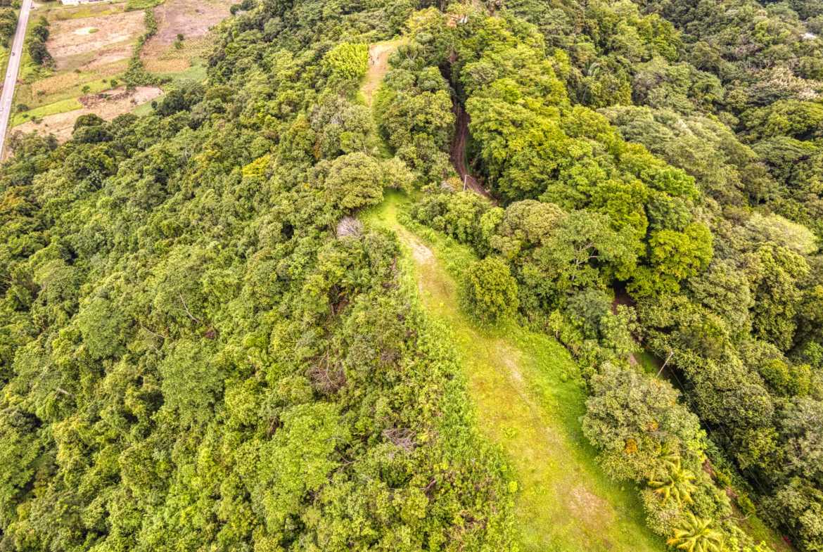 Ocean & Mountain View Building Lot with Legal Water, photo 9 of 24