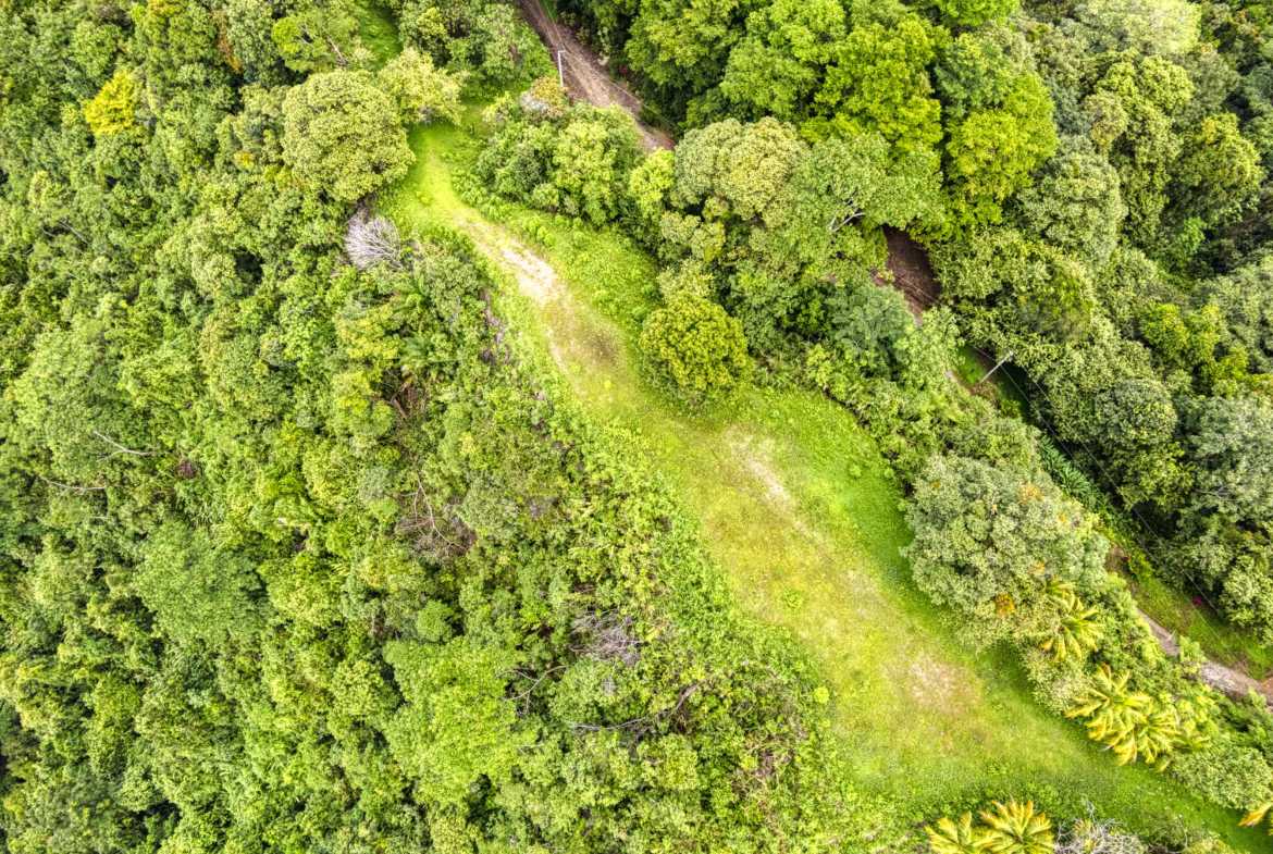 Ocean & Mountain View Building Lot with Legal Water, photo 10 of 24