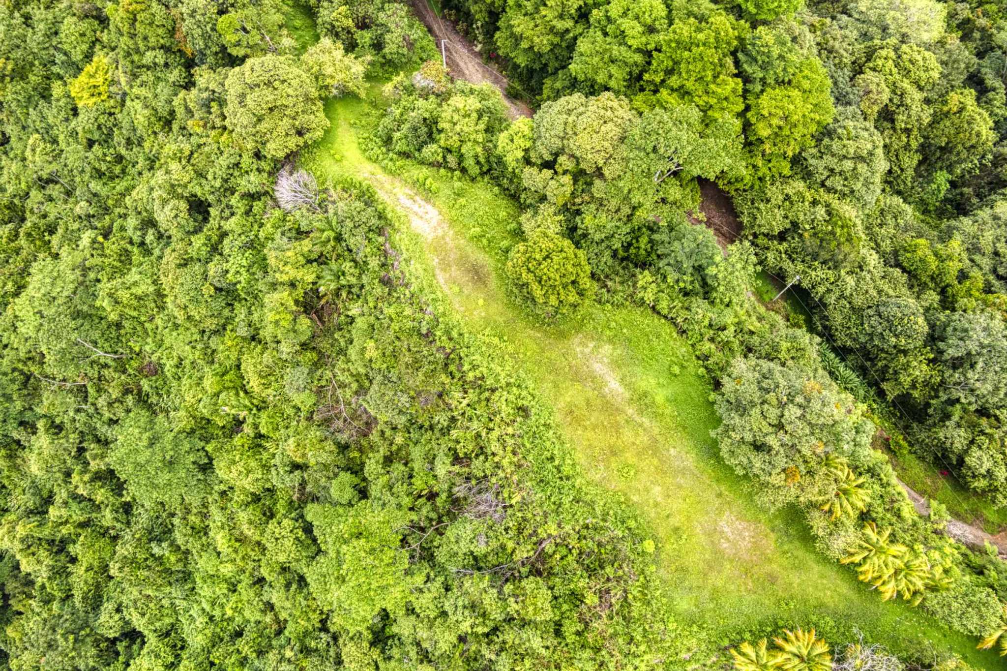 76778-10 Stunning Ocean & Mountain View Building Lot with Legal Water in Ojochal Costa Rica
