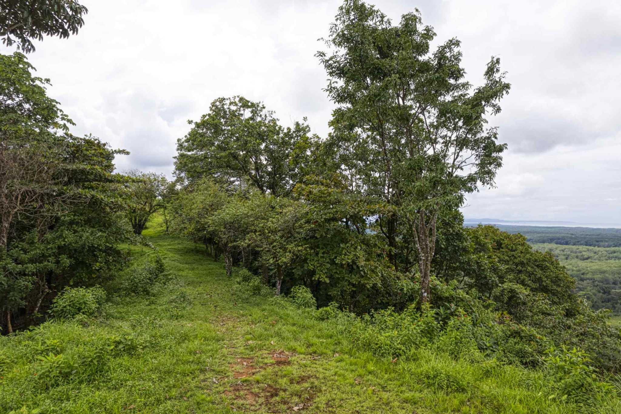 76778-22 Stunning Ocean & Mountain View Building Lot with Legal Water in Ojochal Costa Rica
