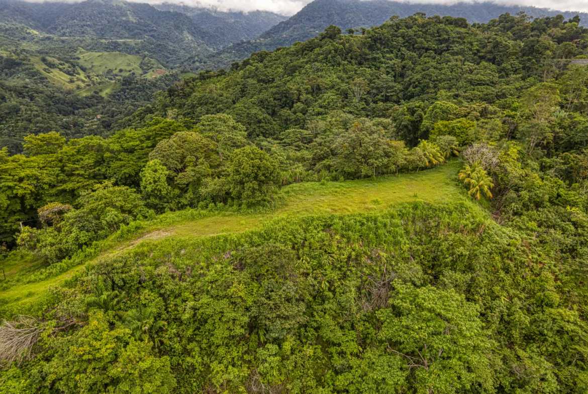 Ocean & Mountain View Building Lot with Legal Water, photo 23 of 24