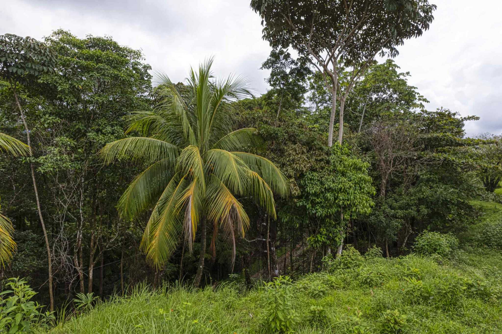 76778-30 Stunning Ocean & Mountain View Building Lot with Legal Water in Ojochal Costa Rica