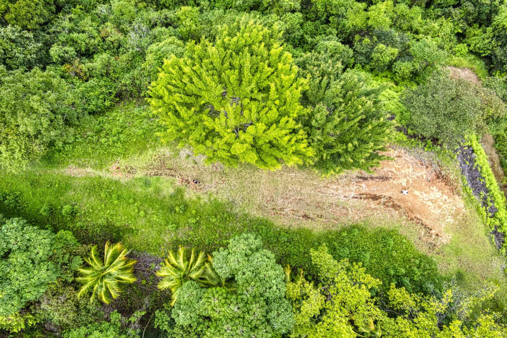 76778-31 Stunning Ocean & Mountain View Building Lot with Legal Water in Ojochal Costa Rica