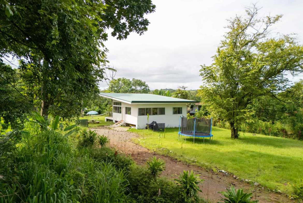 Serene 2-Bedroom Jungle Home with Cold Plunge on 2/3 acres, photo 4 of 24