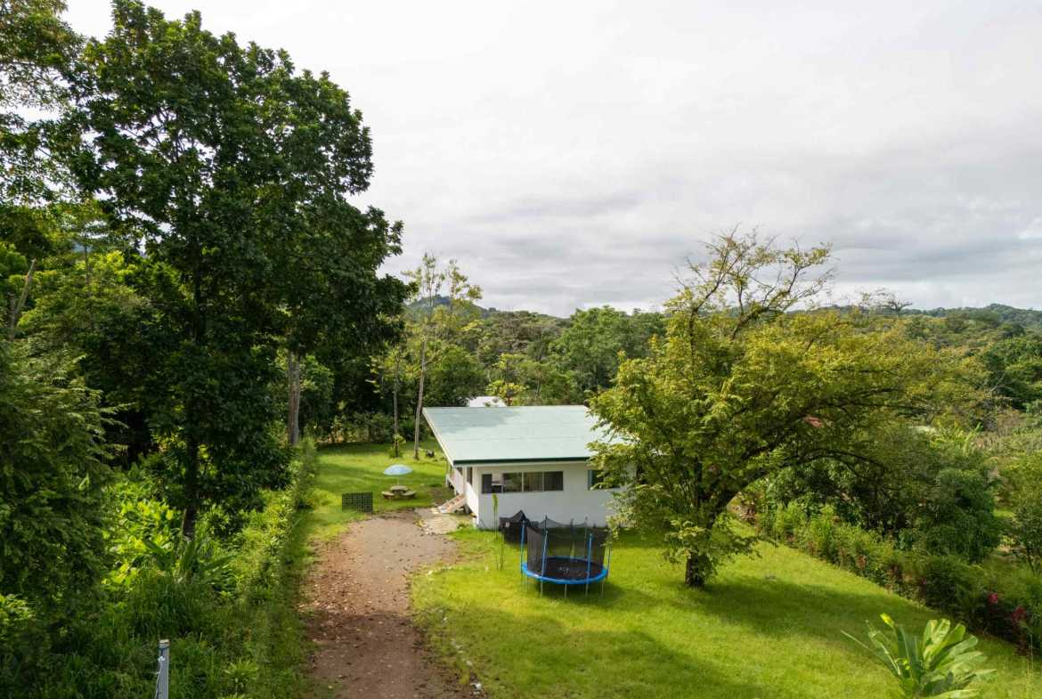 Serene 2-Bedroom Jungle Home with Cold Plunge on 2/3 acres, photo 5 of 24