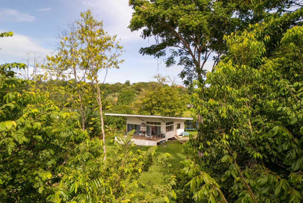 Serene 2-Bedroom Jungle Home with Cold Plunge on 2/3 acres, photo 6 of 24