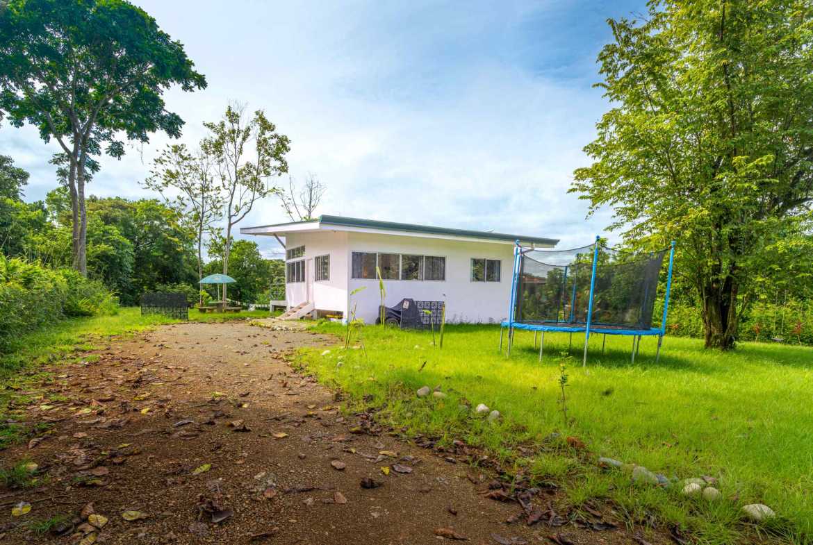 Serene 2-Bedroom Jungle Home with Cold Plunge on 2/3 acres, photo 11 of 24