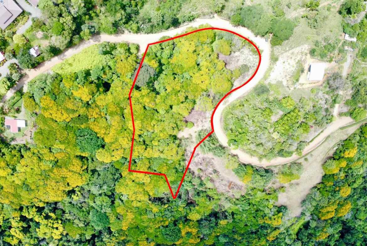 4.8-acre farm in Platanillo, Costa Rica – photo 1 of 15