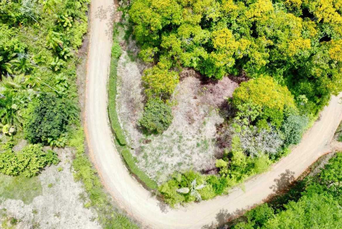 4.8-acre farm in Platanillo, Costa Rica – photo 3 of 15