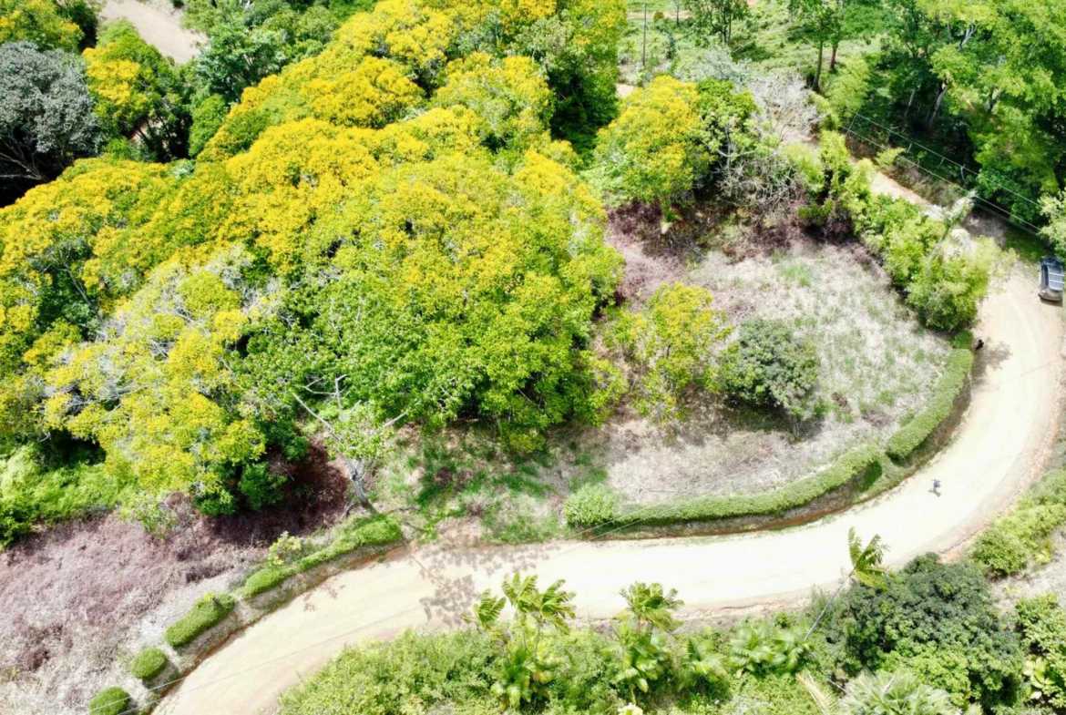 4.8-acre farm in Platanillo, Costa Rica – photo 4 of 15