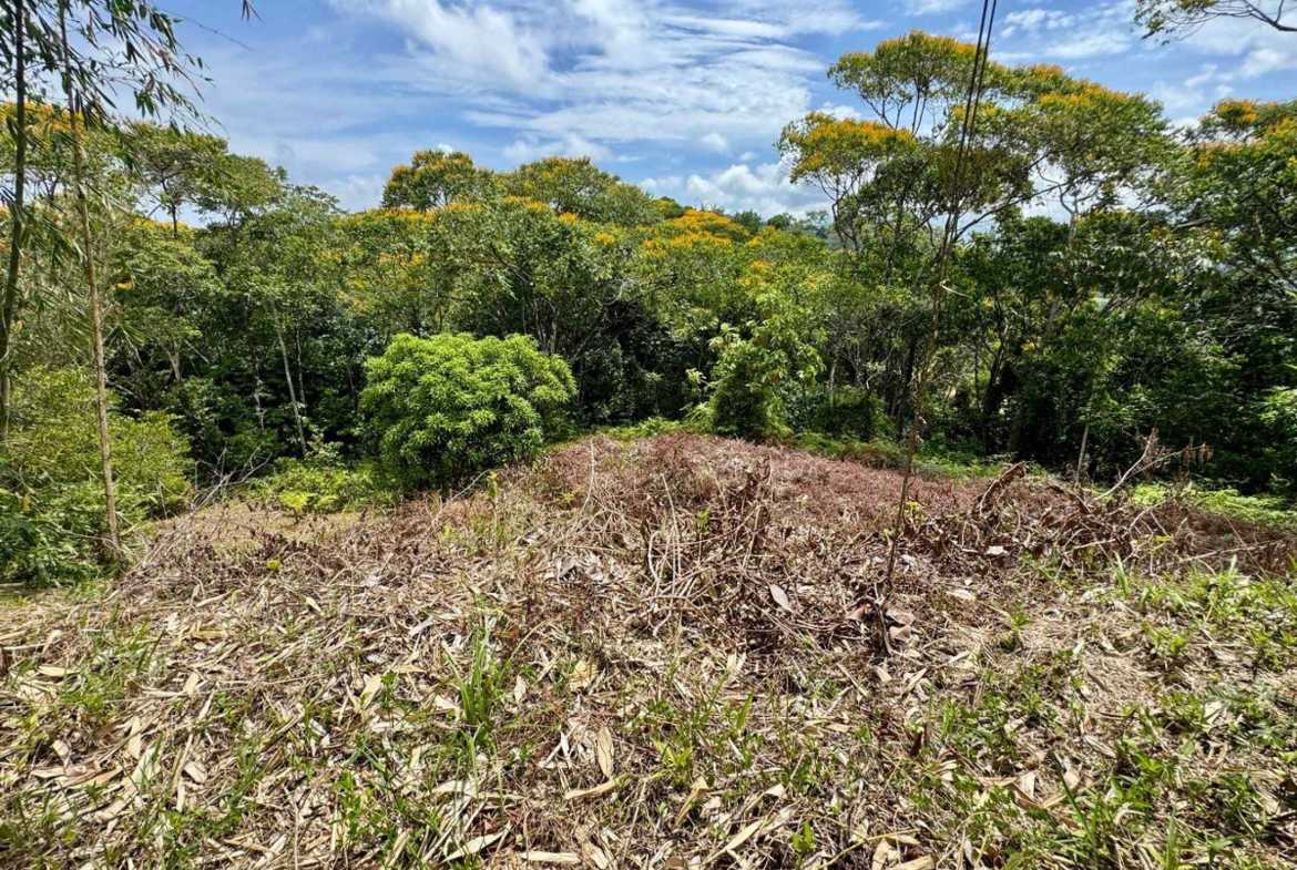 4.8-acre farm in Platanillo, Costa Rica – photo 5 of 15