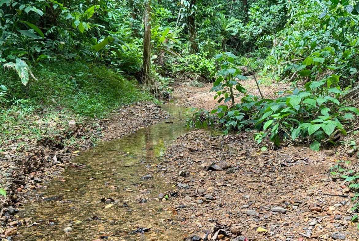 4.8-acre farm in Platanillo, Costa Rica – photo 6 of 15