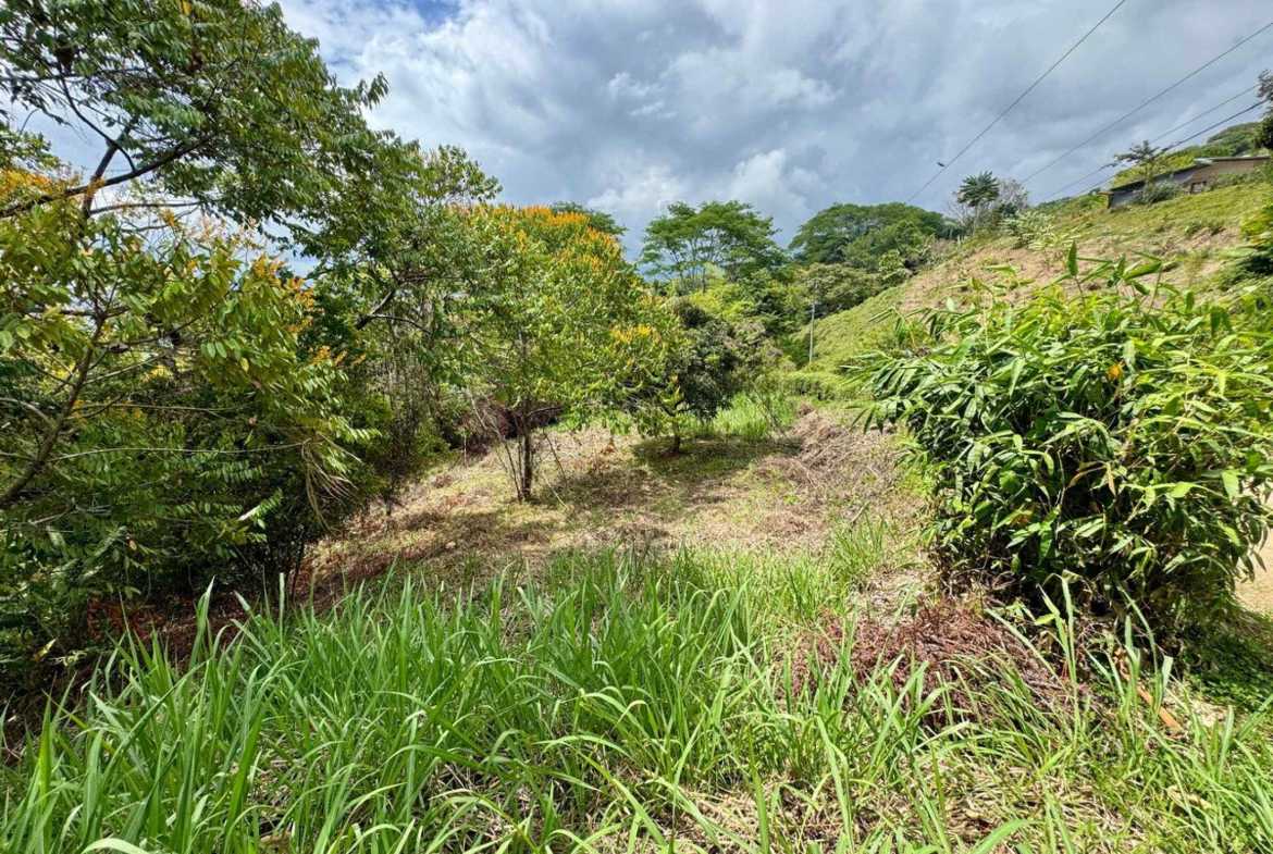 4.8-acre farm in Platanillo, Costa Rica – photo 8 of 15