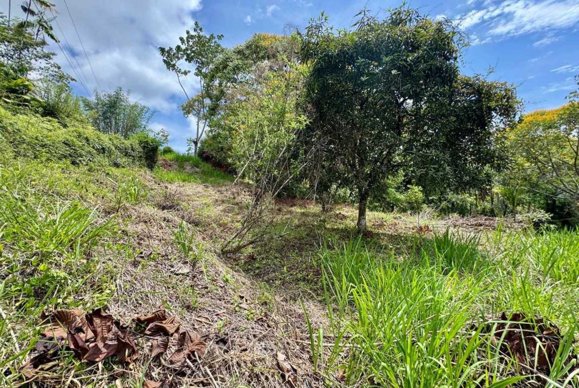4.8-acre farm in Platanillo, Costa Rica – photo 10 of 15