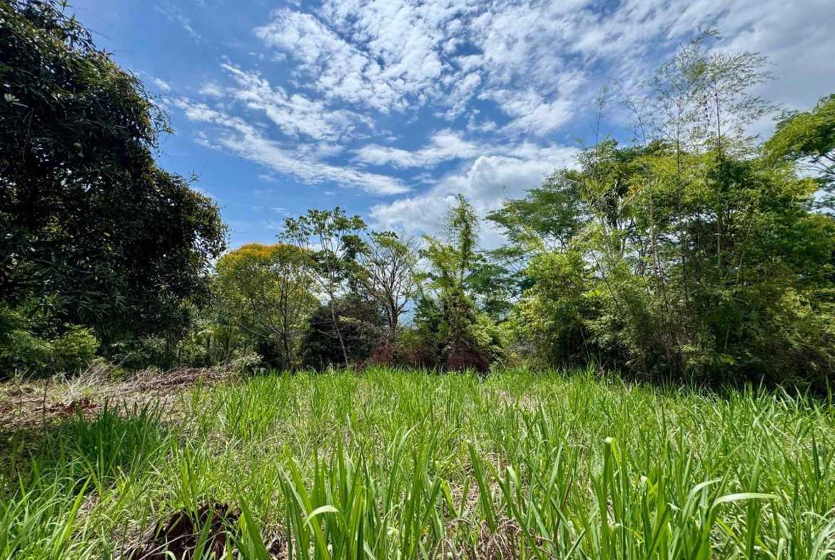 4.8-acre farm in Platanillo, Costa Rica – photo 11 of 15
