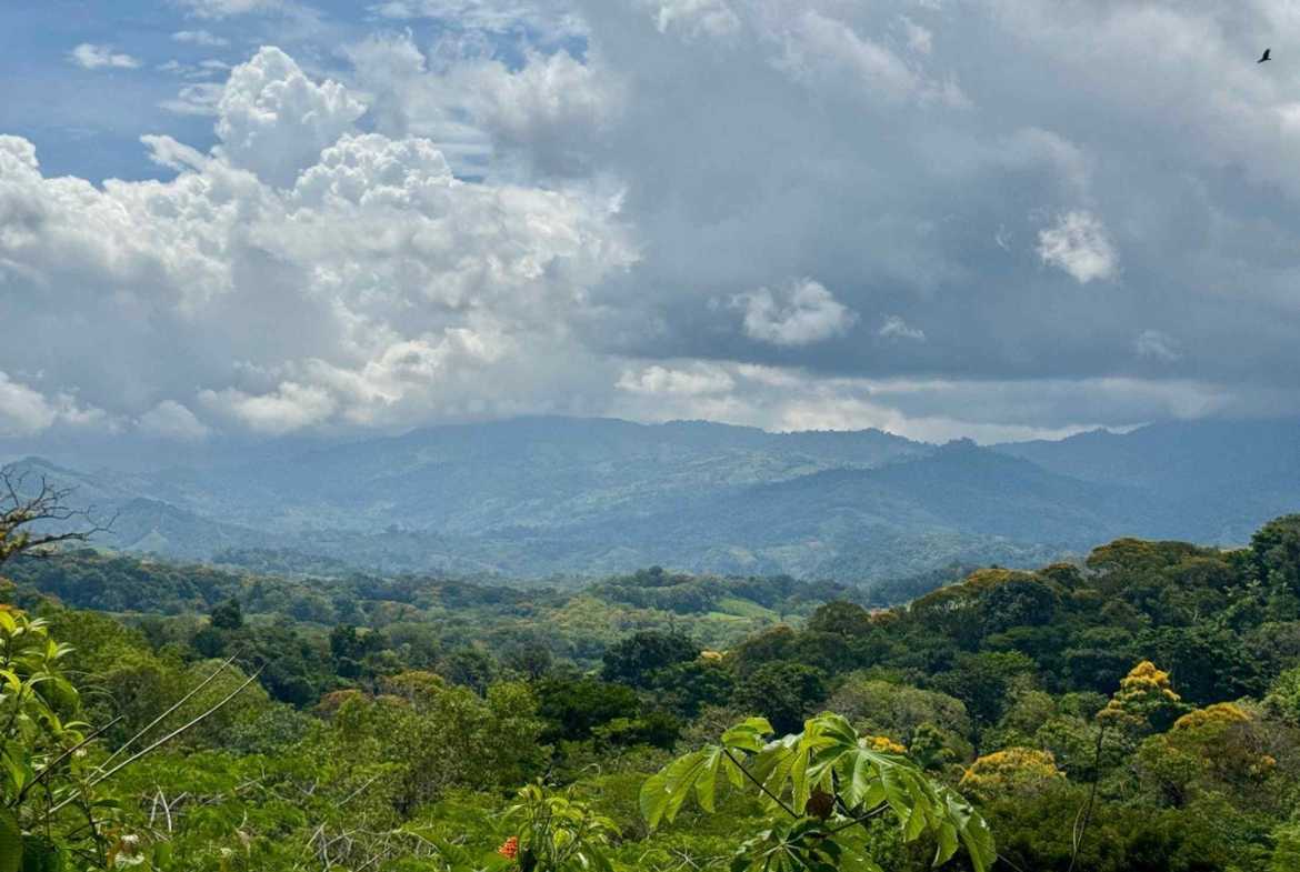 4.8-acre farm in Platanillo, Costa Rica – photo 13 of 15