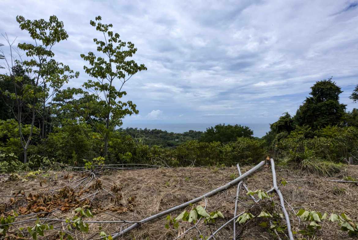 1.79-acre lot in Uvita, Costa Rica – photo 5 of 9
