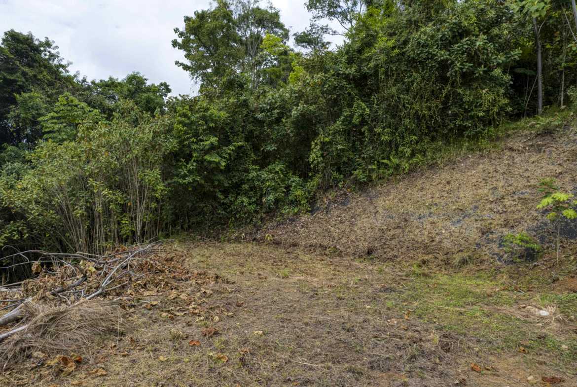 1.79-acre lot in Uvita, Costa Rica – photo 6 of 9