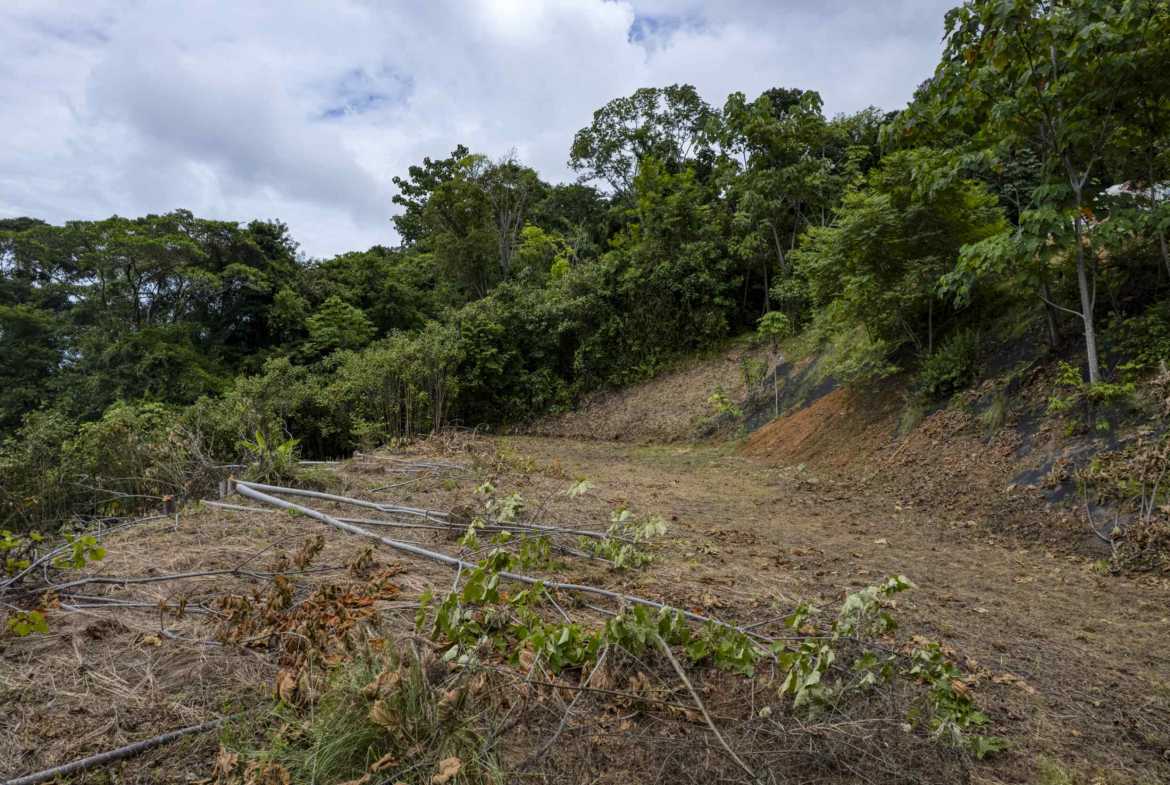 1.79-acre lot in Uvita, Costa Rica – photo 9 of 9