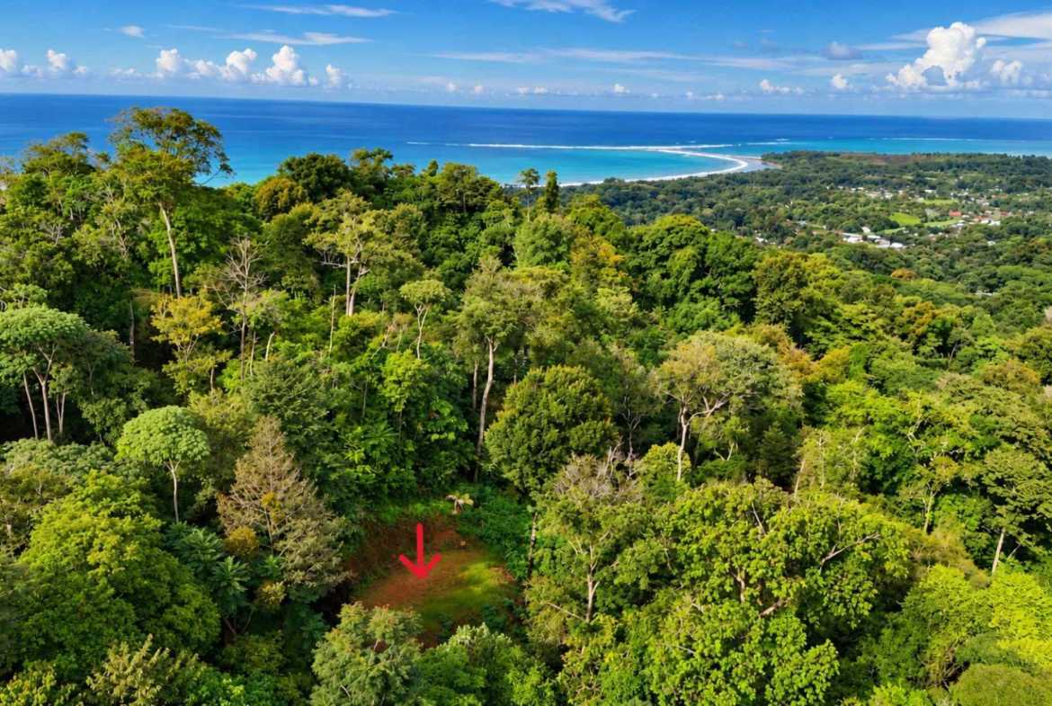 Marvelous Ocean & Jungle View Building Lot, photo 1 of 24