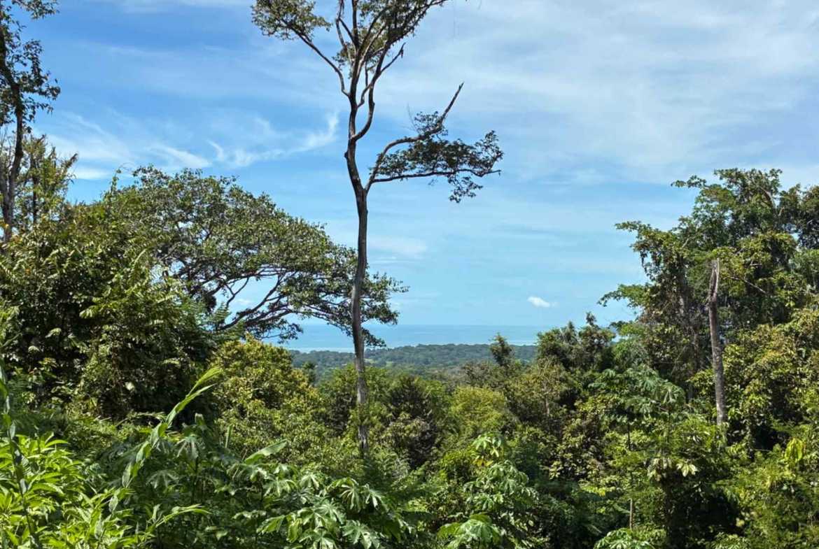 Marvelous Ocean & Jungle View Building Lot, photo 2 of 24