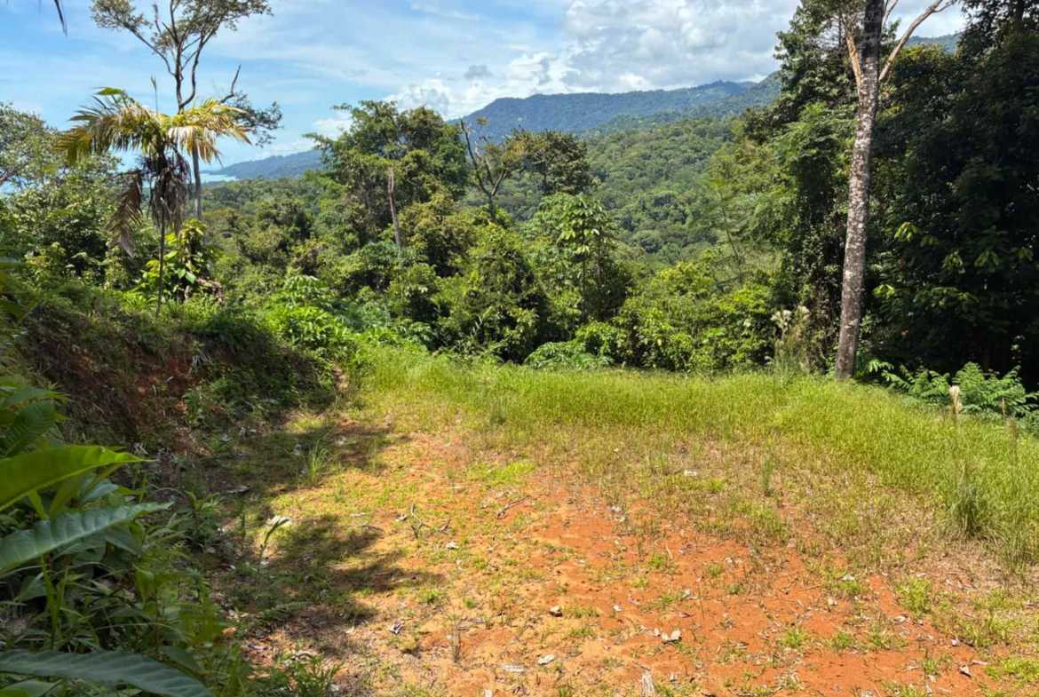 Marvelous Ocean & Jungle View Building Lot, photo 9 of 24