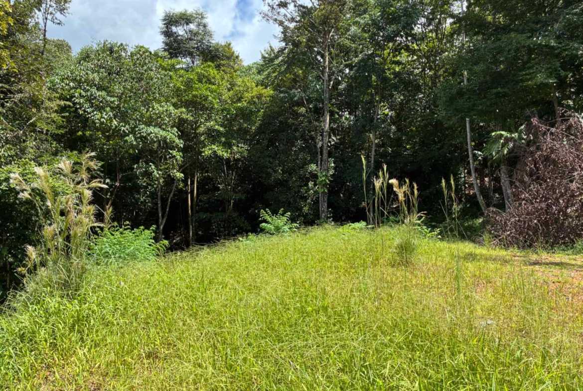 Marvelous Ocean & Jungle View Building Lot, photo 10 of 24