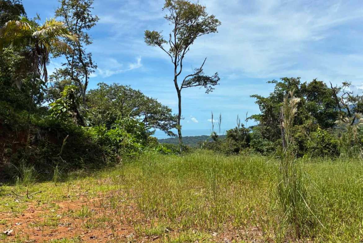 Marvelous Ocean & Jungle View Building Lot, photo 11 of 24