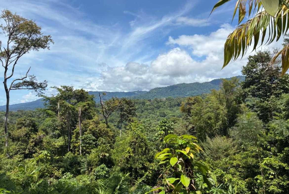 Marvelous Ocean & Jungle View Building Lot, photo 12 of 24