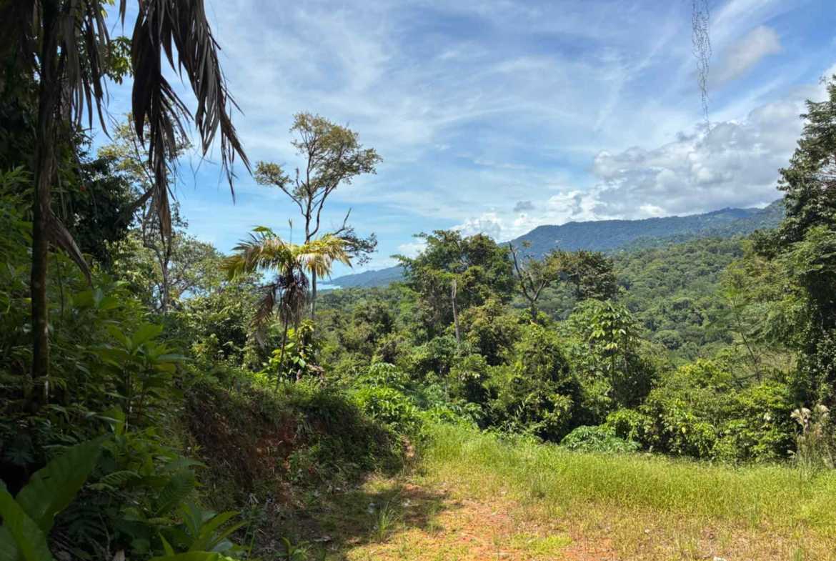 Marvelous Ocean & Jungle View Building Lot, photo 19 of 24