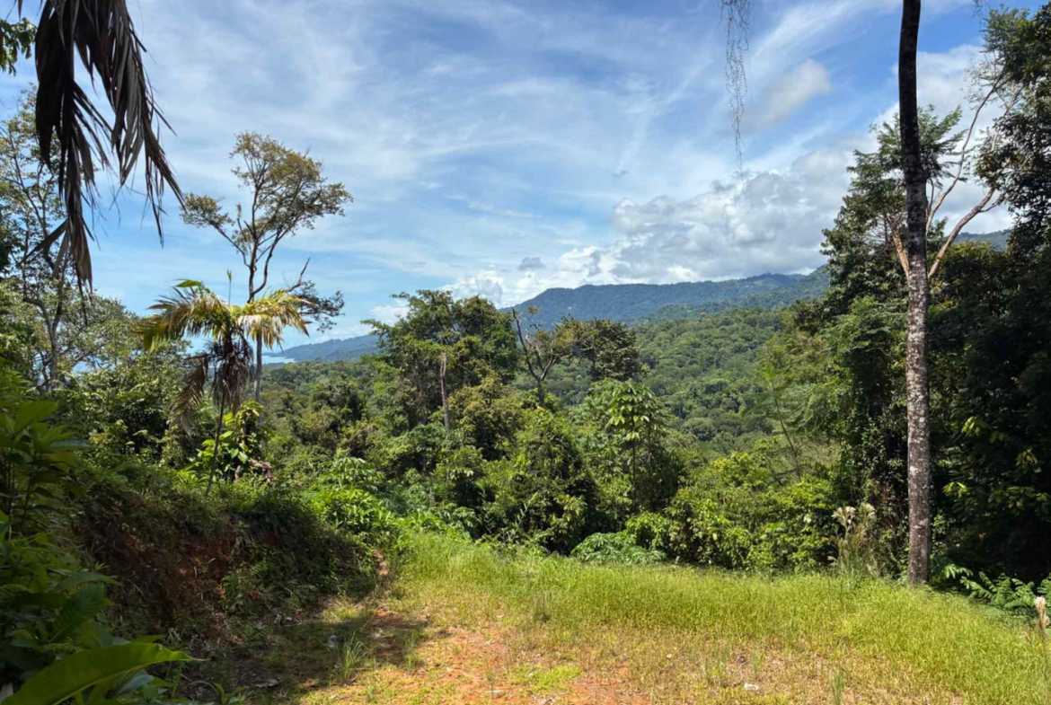 Marvelous Ocean & Jungle View Building Lot, photo 20 of 24