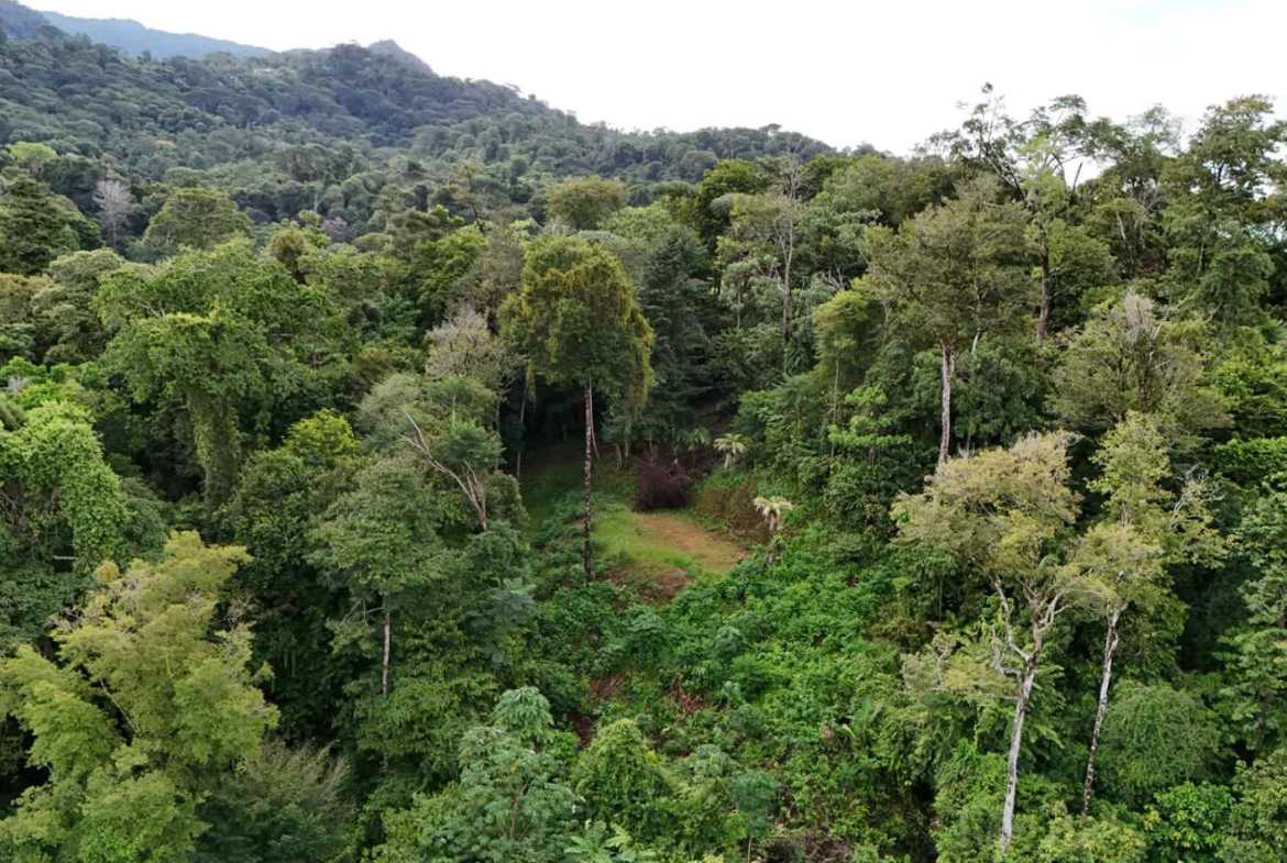 Marvelous Ocean & Jungle View Building Lot, photo 22 of 24