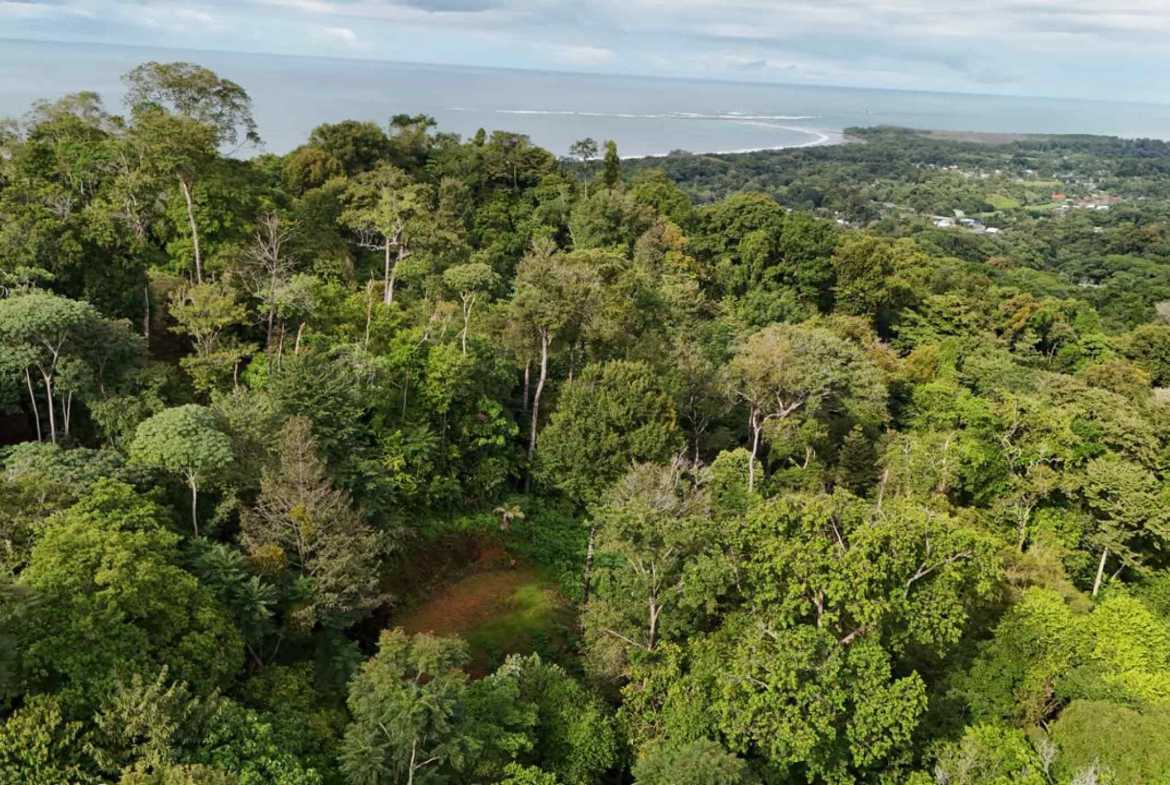 Marvelous Ocean & Jungle View Building Lot, photo 23 of 24
