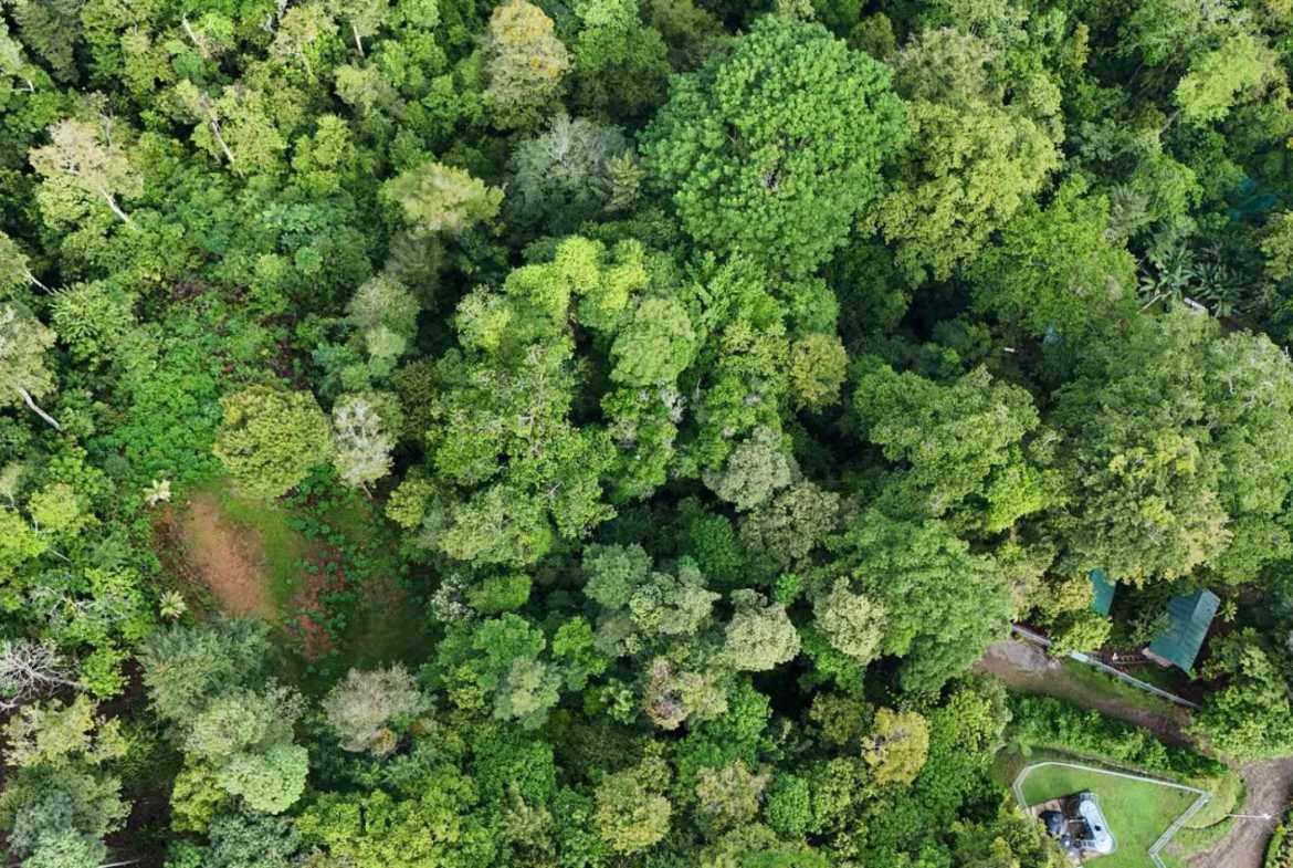 1.7-acre lot in Uvita, Costa Rica – photo 26 of 34
